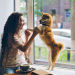 4 Constructive Pondering Strategies to Examine from Caring for Pets