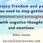 How one can Steer clear of Unfavourable Emotional Involvement and the Benefits